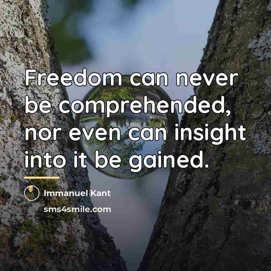 “Freedom can never be comprehended, nor even can insight into…” quote by Immanuel Kant