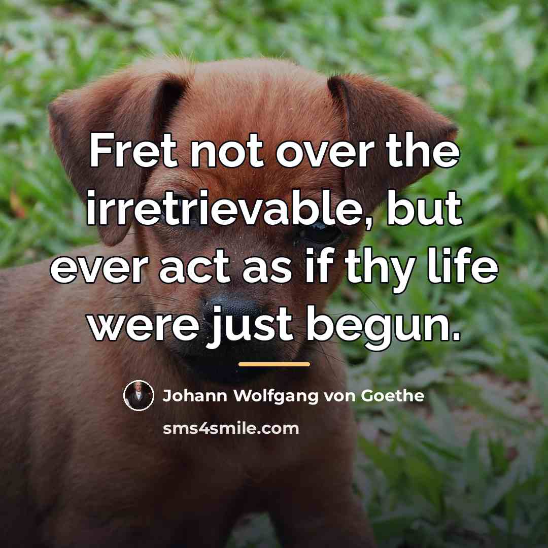 “Fret not over the irretrievable, but ever act as if…” quote by Johann Wolfgang von Goethe
