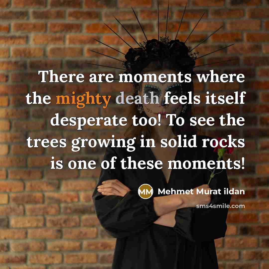 “There are moments where the mighty death feels itself desperate…” quote by Mehmet Murat Ildan