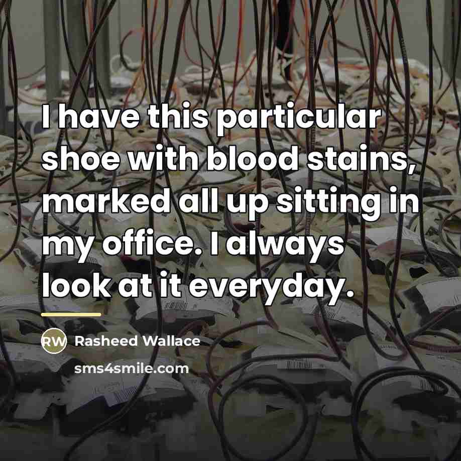 “I have this particular shoe with blood stains, marked all…” quote by Rasheed Wallace