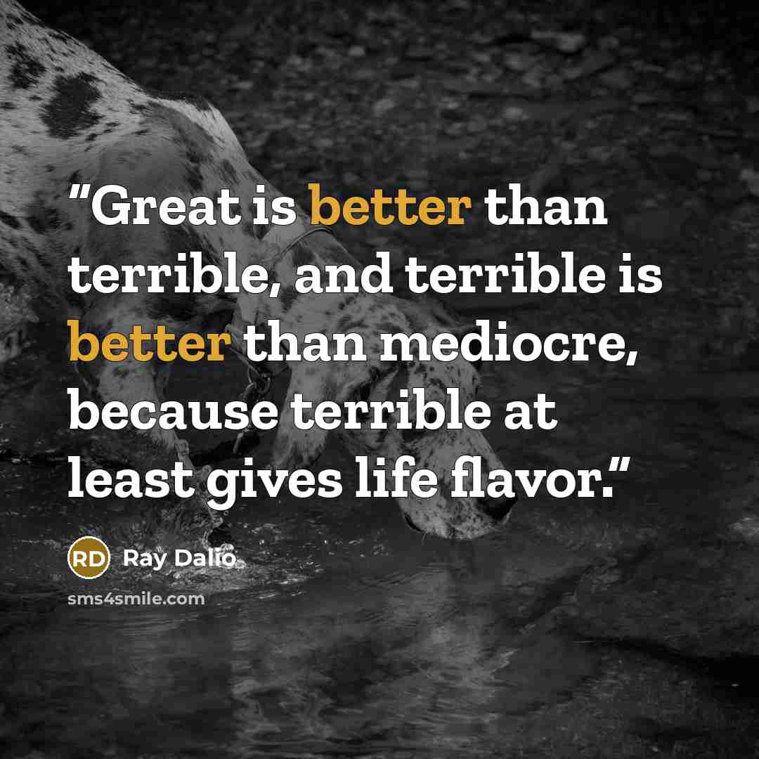 “Great is better than terrible, and terrible is better than mediocre, because terrible at least gives life flavor.” quote by Ray Dalio