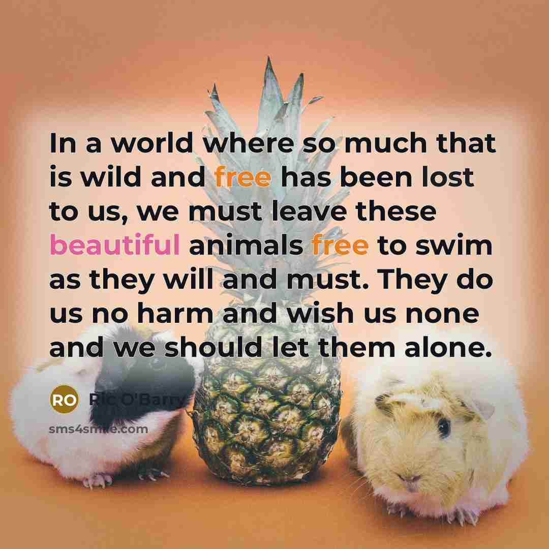 “In a world where so much that is wild and…” quote by Ric O'Barry