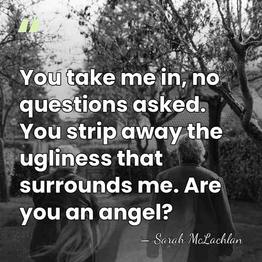 You take me in, no questions asked. You strip away the ugliness&hellip; - Sarah McLachlan