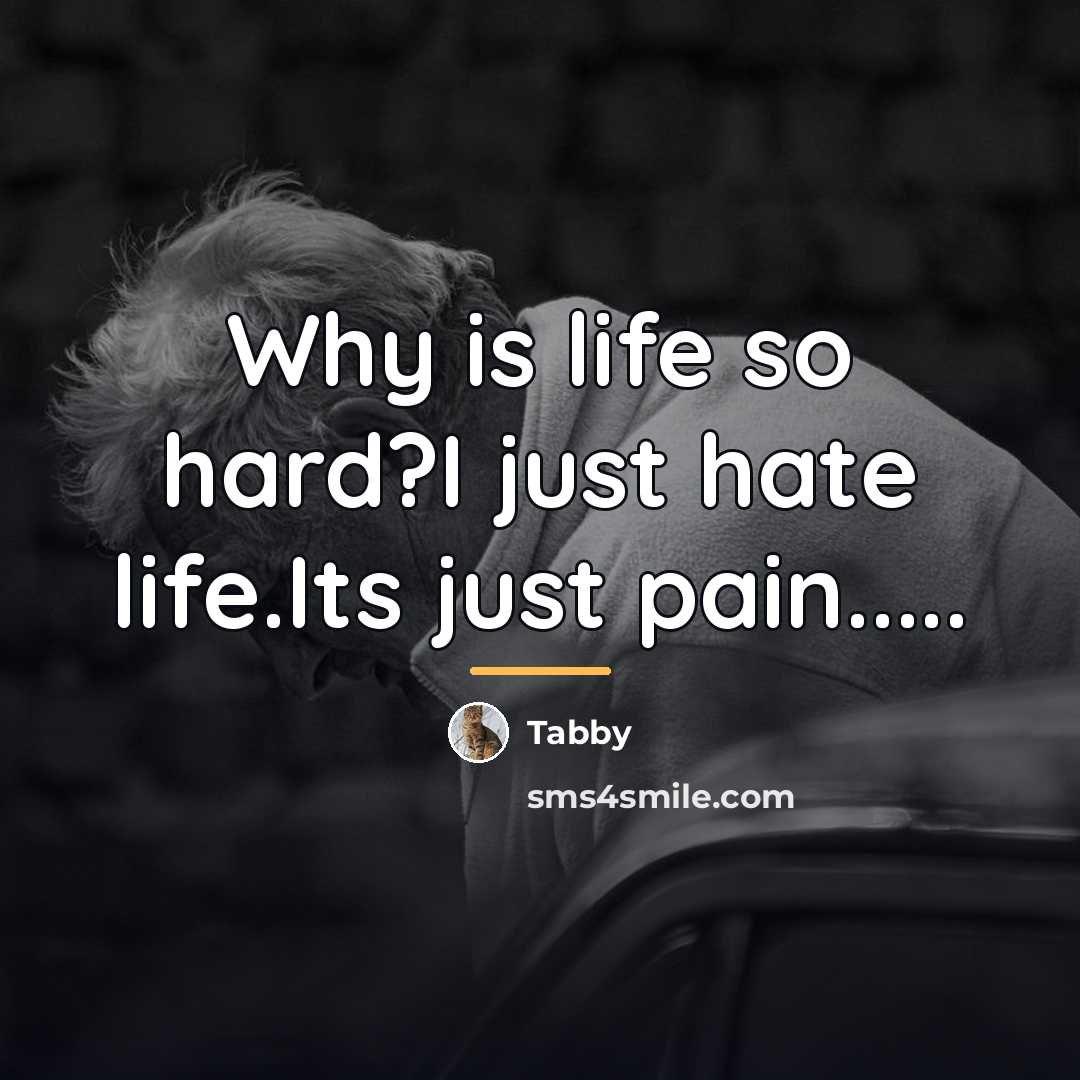 “Why is life so hard?I just hate life.Its just pain.....…” quote by Tabby