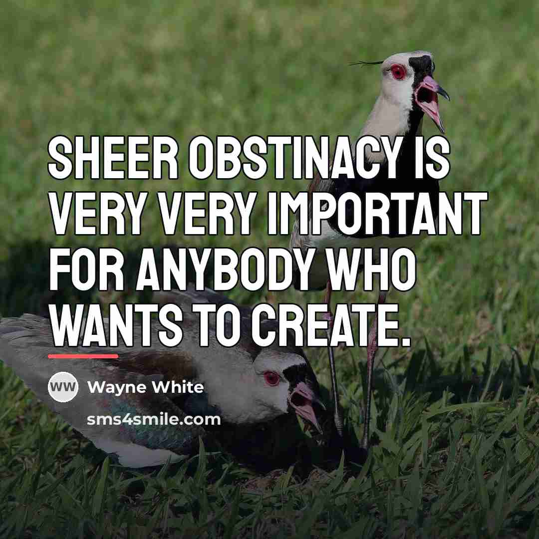 “Sheer obstinacy is very very important for anybody who wants…” quote by Wayne White