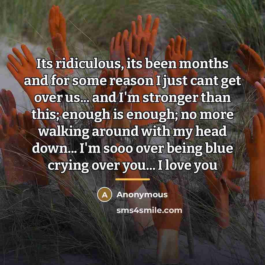 “Its ridiculous, its been months and for some reason I…” quote by Anonymous
