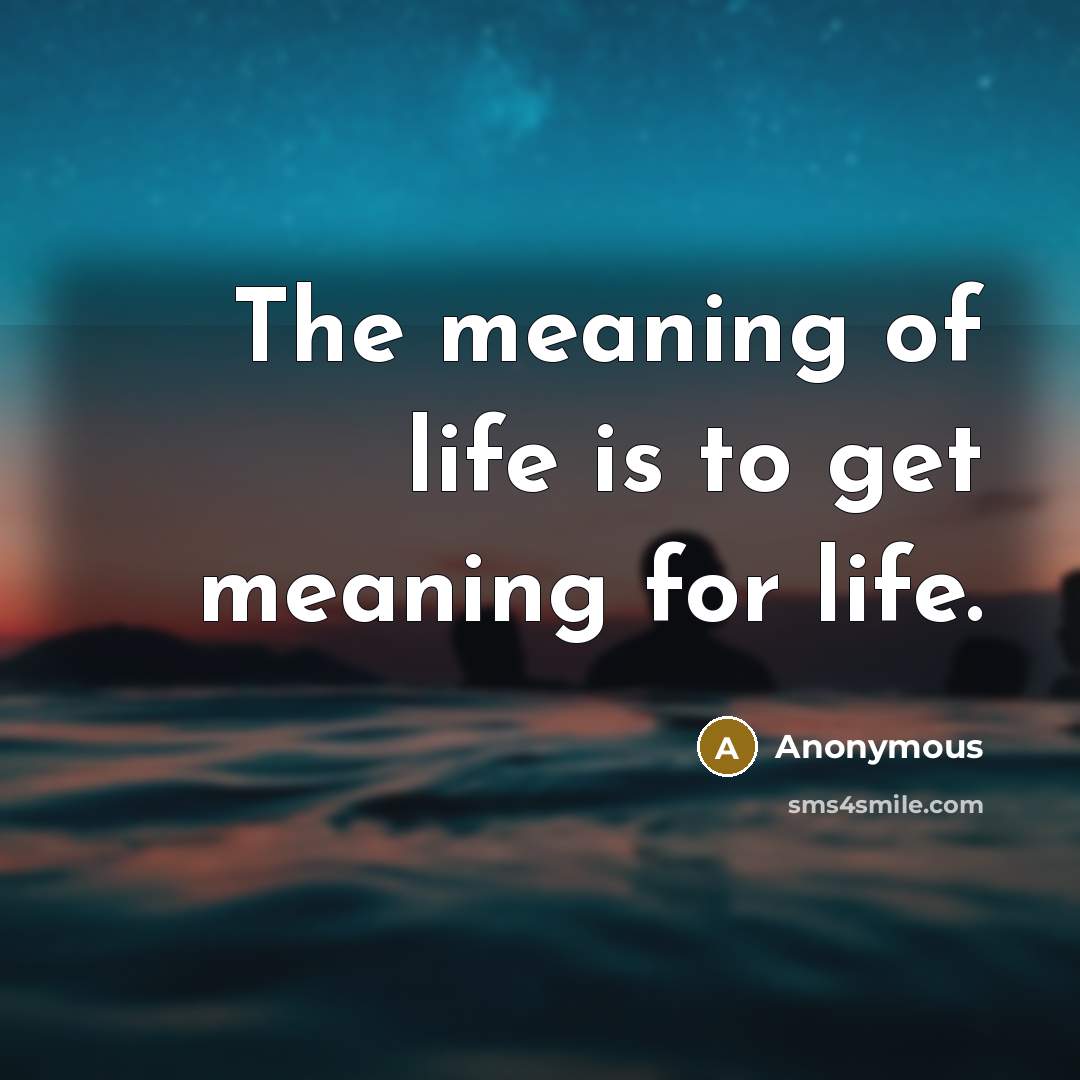 “The meaning of life is to get meaning for life.…” quote by Anonymous