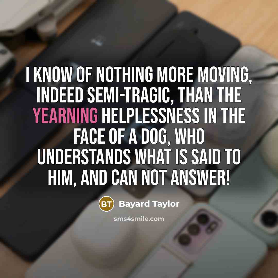 “I know of nothing more moving, indeed semi-tragic, than the…” quote by Bayard Taylor