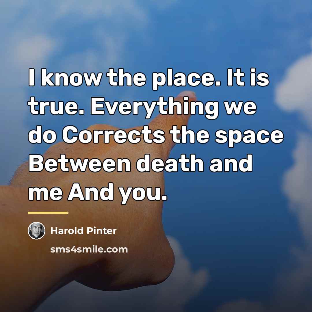 “I know the place. It is true. Everything we do…” quote by Harold Pinter
