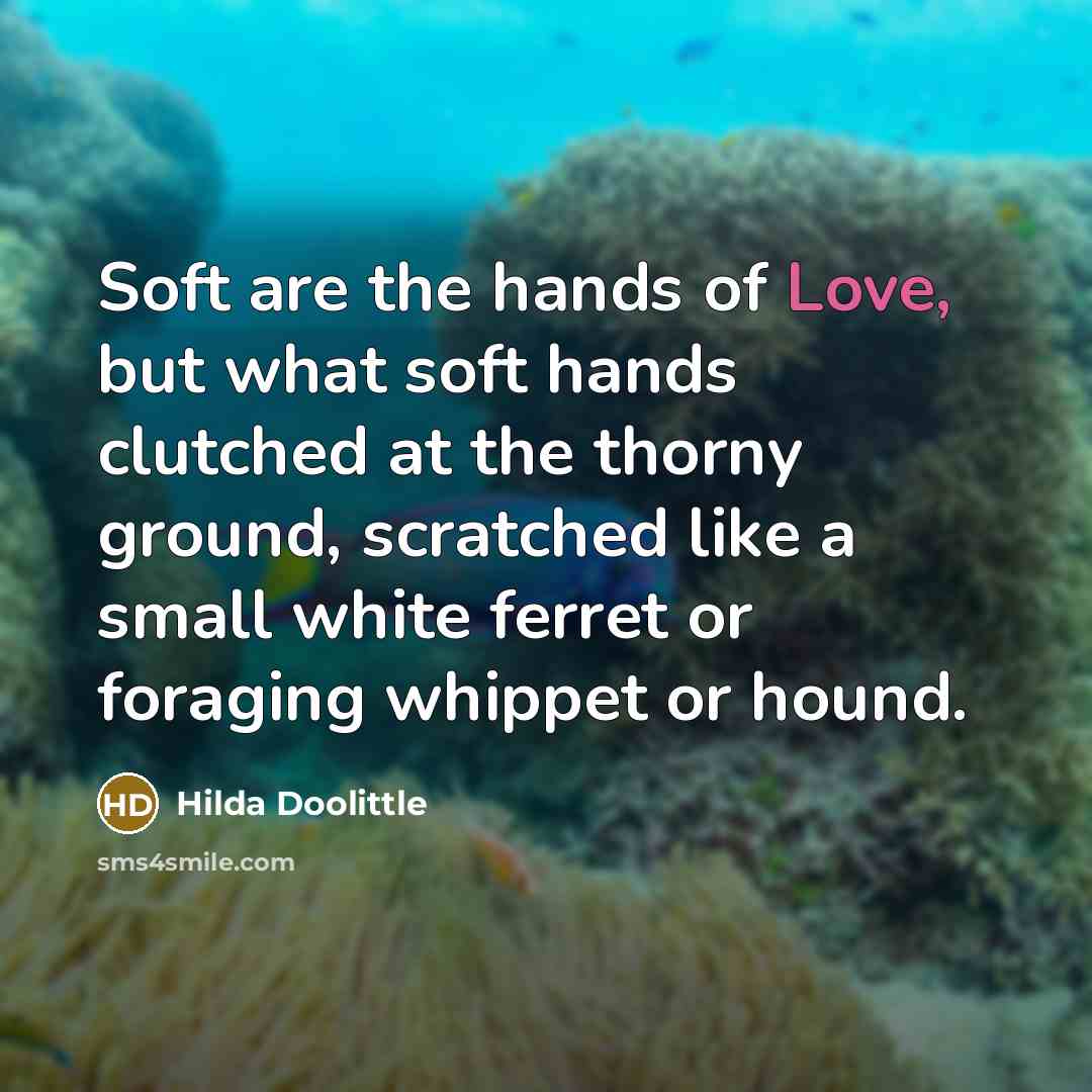 “Soft are the hands of Love, but what soft hands…” quote by Hilda Doolittle