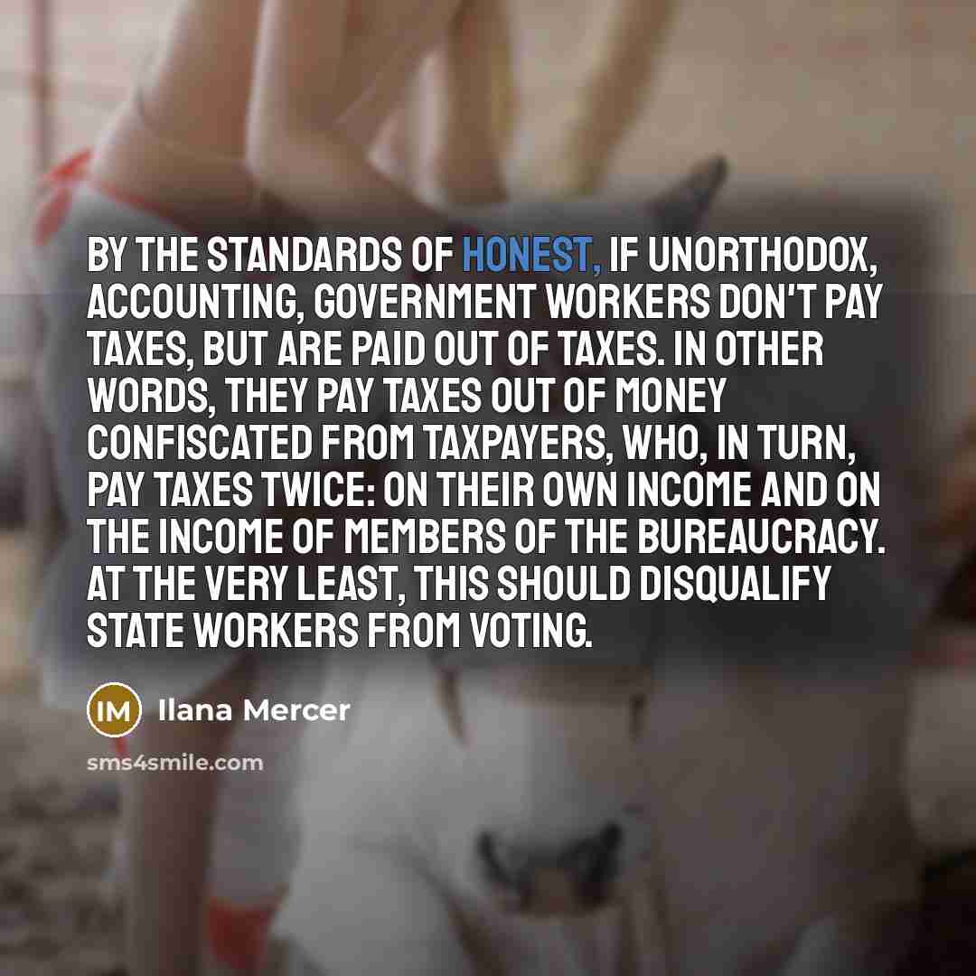 “By the standards of honest, if unorthodox, accounting, government workers…” quote by Ilana Mercer