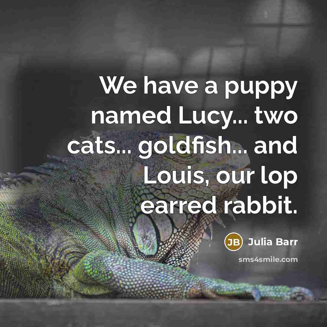 “We have a puppy named Lucy... two cats... goldfish... and Louis, our lop earred rabbit.” quote by Julia Barr
