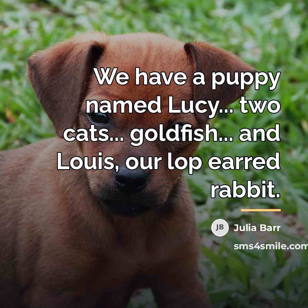 “We have a puppy named Lucy... two cats... goldfish... and…” quote by Julia Barr