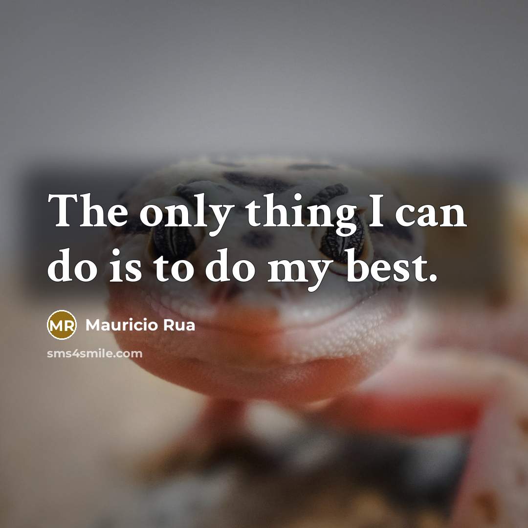 “The only thing I can do is to do my…” quote by Mauricio Rua