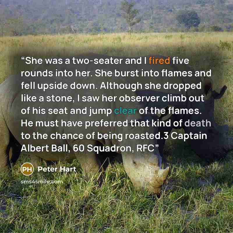 “She was a two-seater and I fired five rounds into her. She burst into flames and fell upside down. Although she dropped like a stone, I saw her observer climb out of his seat and jump clear of the flames. He must have preferred that kind of death to the chance of being roasted.3 Captain Albert…” quote by Peter Hart