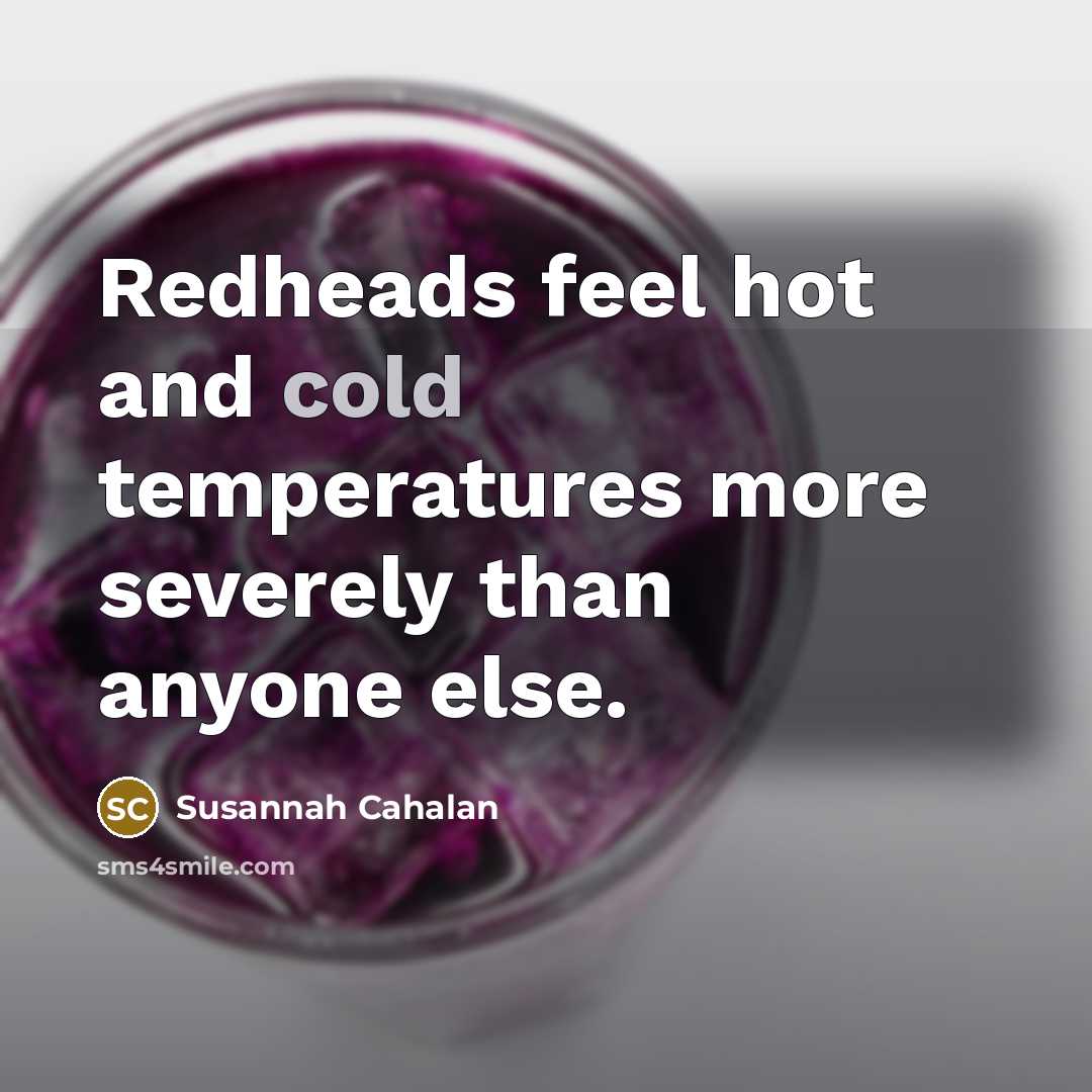 “Redheads feel hot and cold temperatures more severely than anyone…” quote by Susannah Cahalan