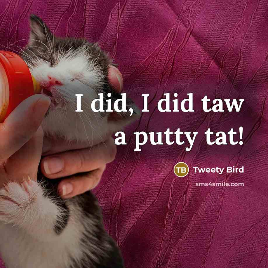“I did, I did taw a putty tat!…” quote by Tweety Bird