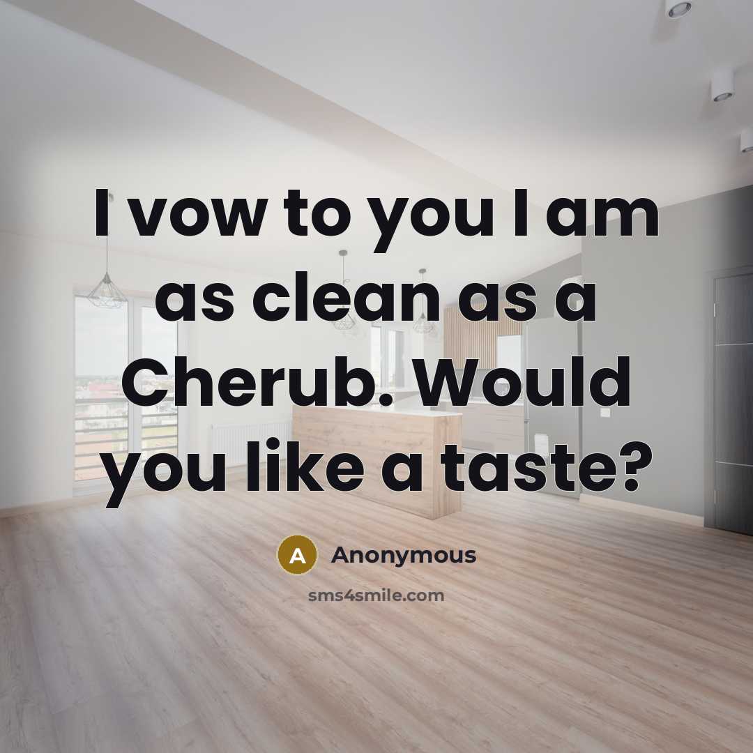 “I vow to you I am as clean as a…” quote by Anonymous