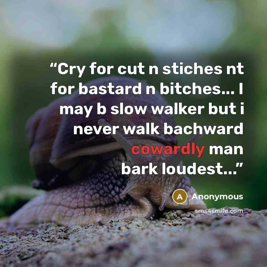 “Cry for cut n stiches nt for bastard n bitches... I may b slow walker but i never walk bachward cowardly man bark loudest...” quote by Anonymous