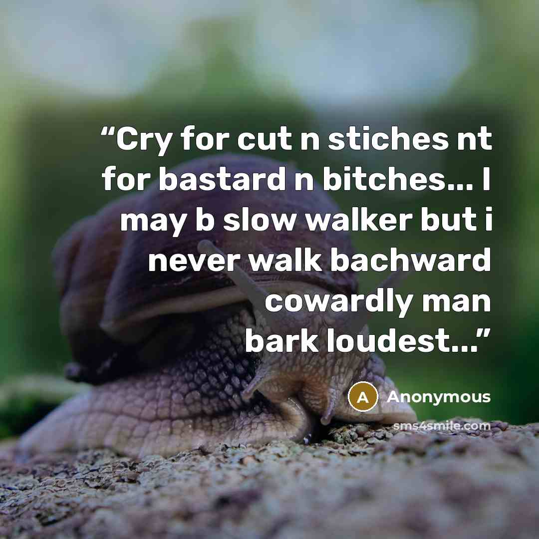 “Cry for cut n stiches nt for bastard n bitches... I may b slow walker but i never walk bachward cowardly man bark loudest...” quote by Anonymous