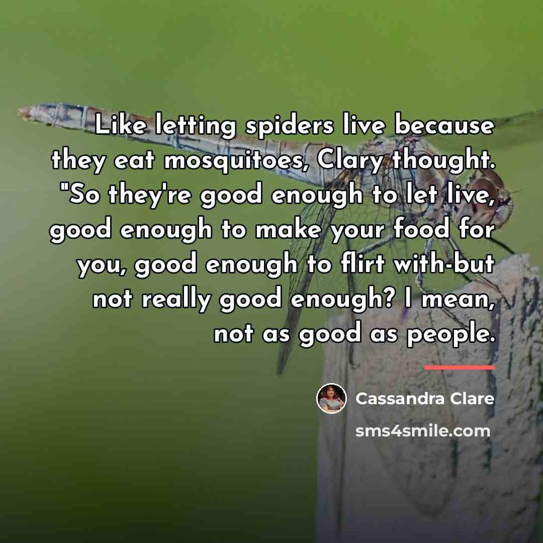 “Like letting spiders live because they eat mosquitoes, Clary thought.…” quote by Cassandra Clare
