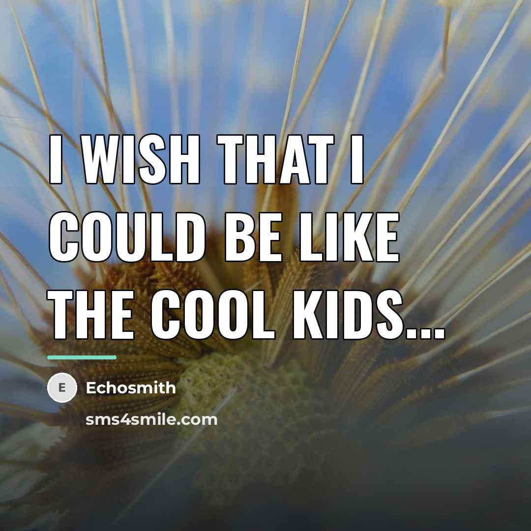 “I wish that I could be like the cool kids...…” quote by Echosmith
