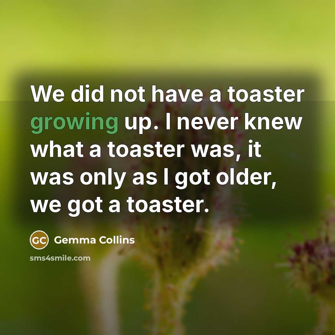 “We did not have a toaster growing up. I never…” quote by Gemma Collins