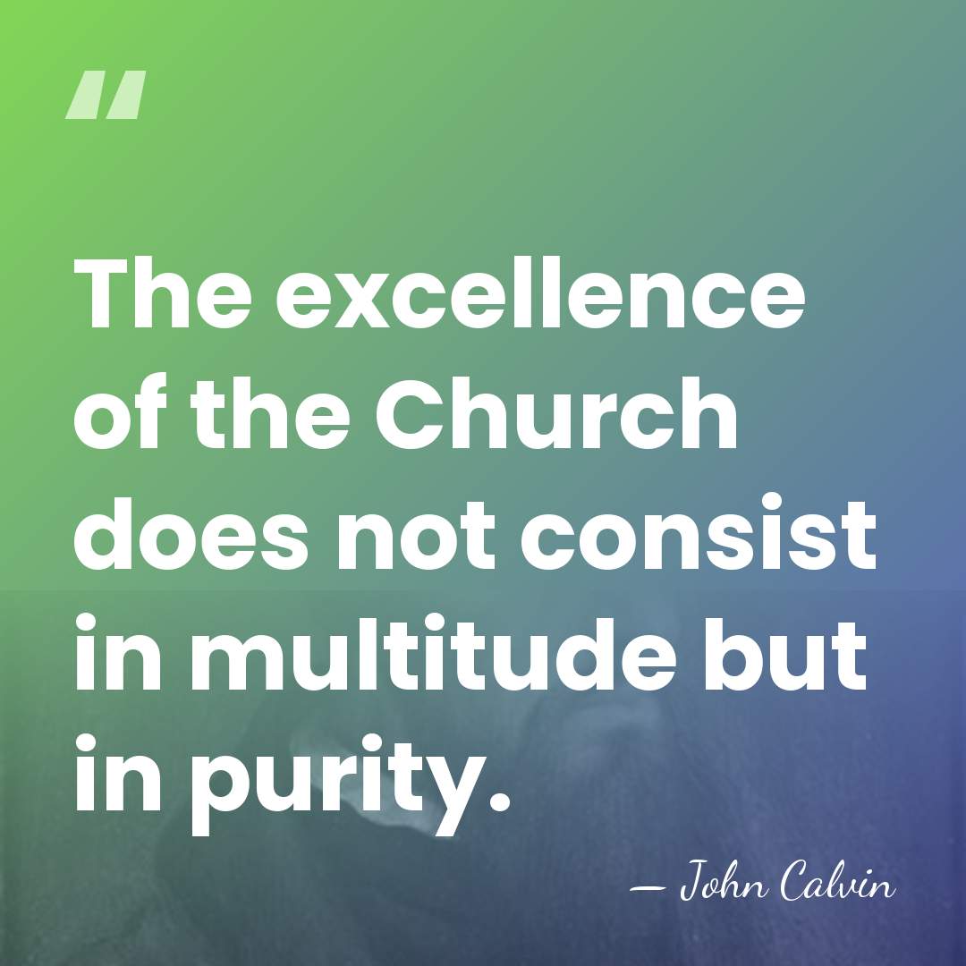 The excellence of the Church does not consist in multitude but in&hellip; - John Calvin