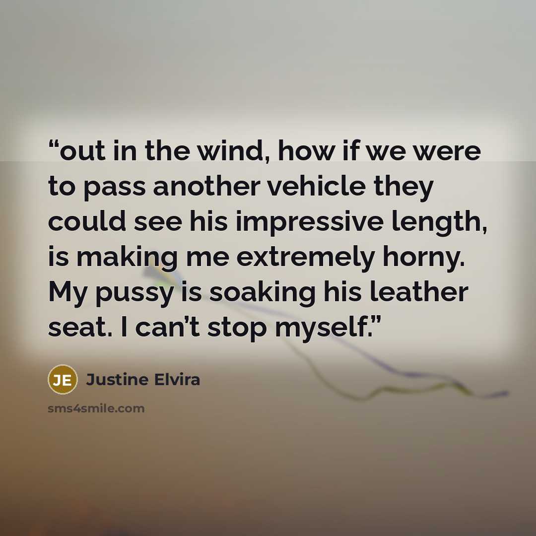 “out in the wind, how if we were to pass another vehicle they could see his impressive length, is making me extremely horny. My pussy is soaking his leather seat. I can’t stop myself.” quote by Justine Elvira