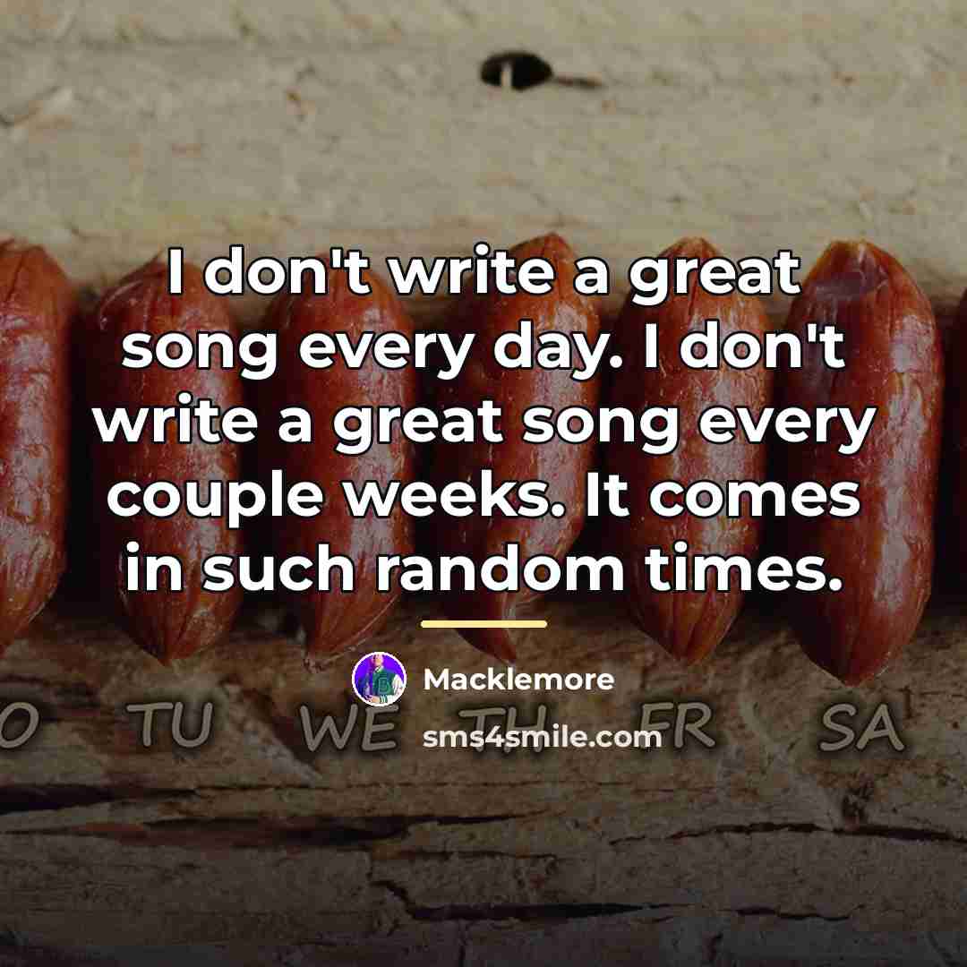“I don't write a great song every day. I don't…” quote by Macklemore