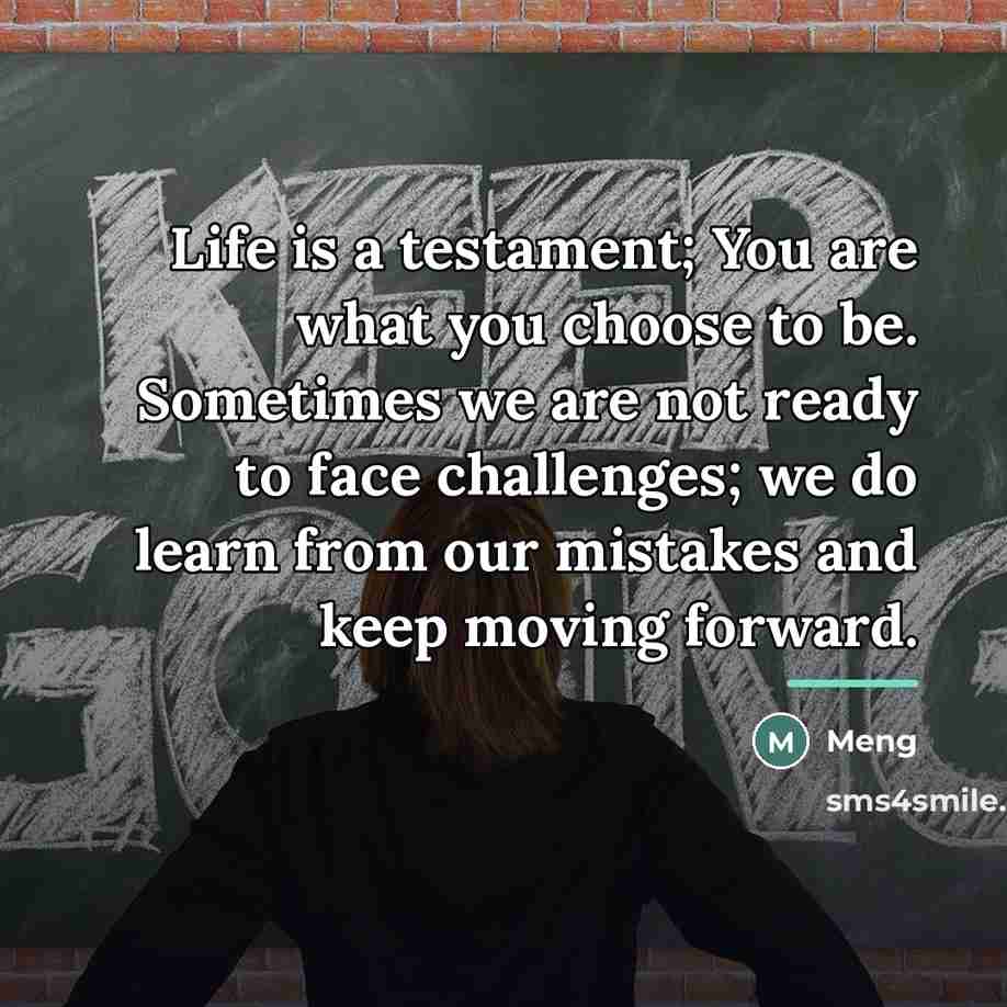 “Life is a testament; You are what you choose to…” quote by Meng