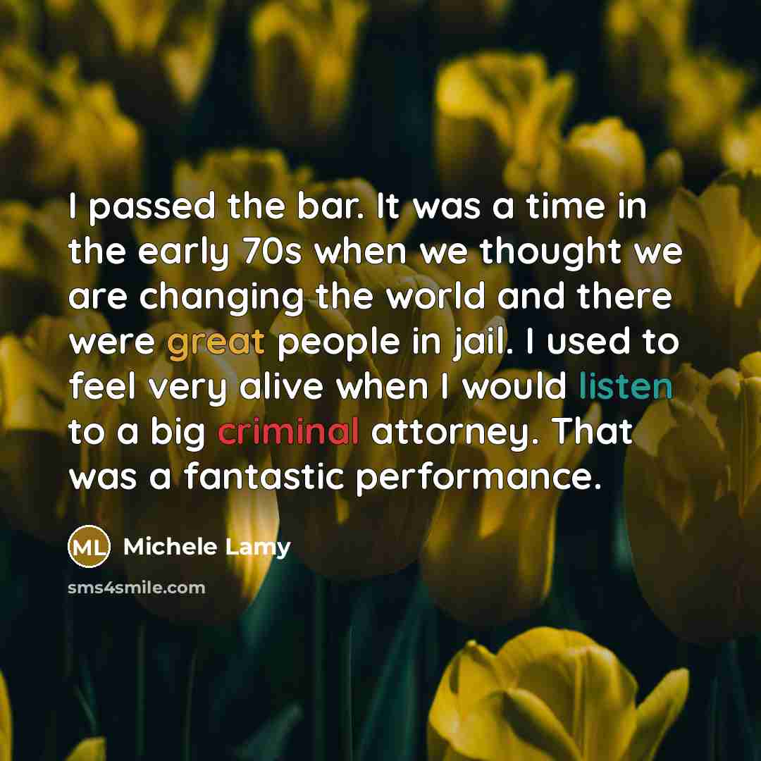 “I passed the bar. It was a time in the…” quote by Michele Lamy
