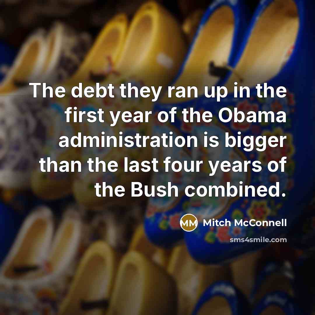 “The debt they ran up in the first year of…” quote by Mitch McConnell