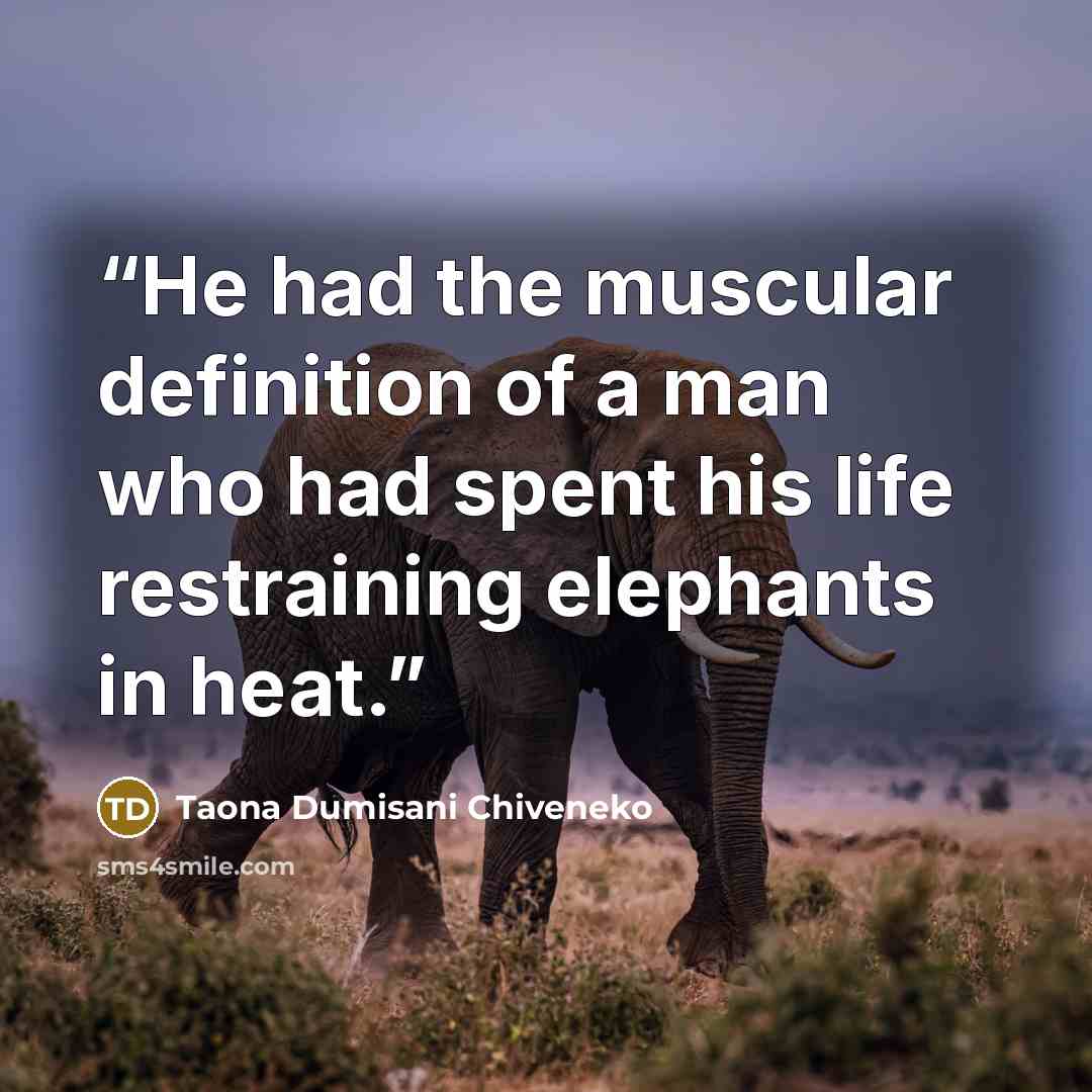 “He had the muscular definition of a man who had spent his life restraining elephants in heat.” quote by Taona Dumisani Chiveneko