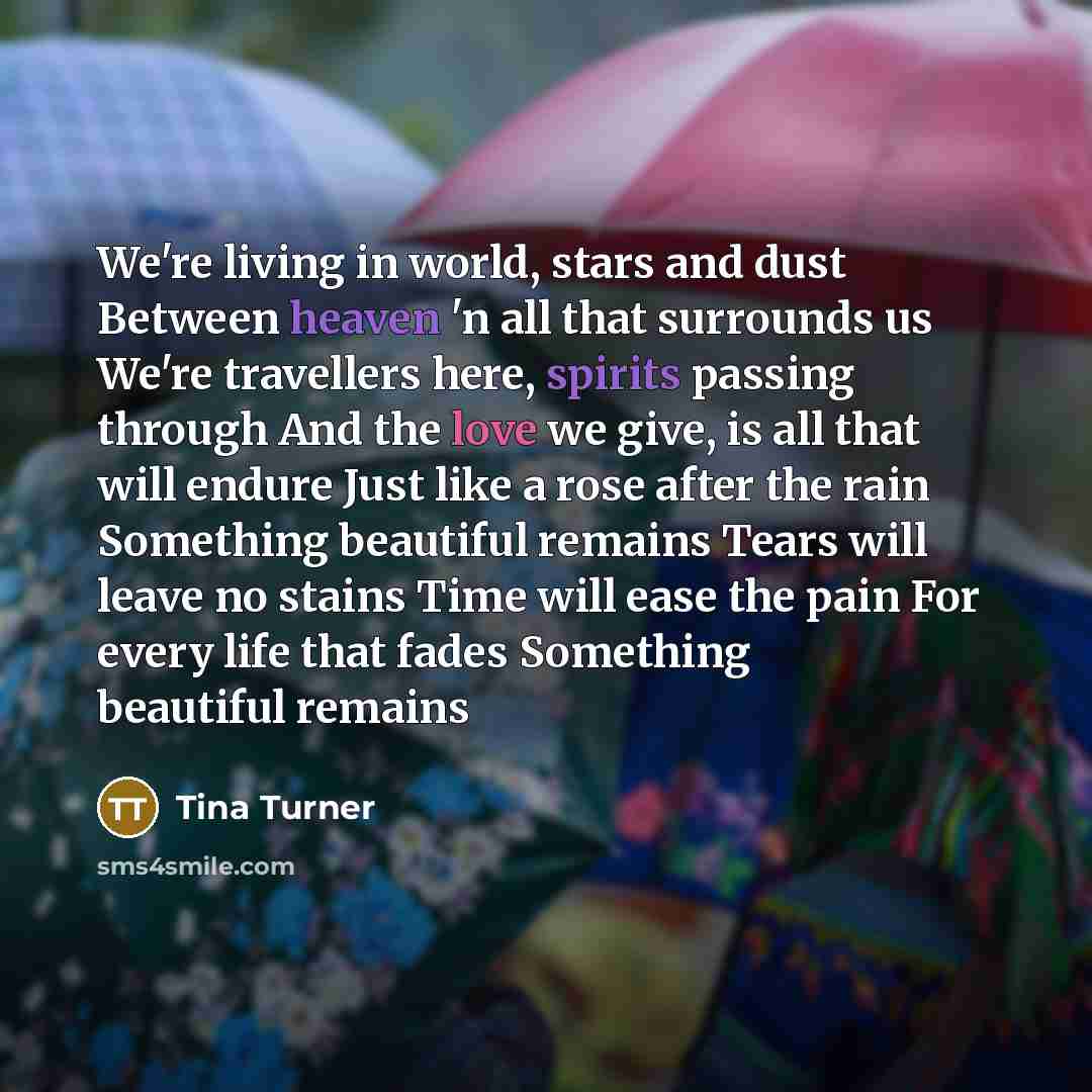 “We're living in world, stars and dust Between heaven 'n…” quote by Tina Turner