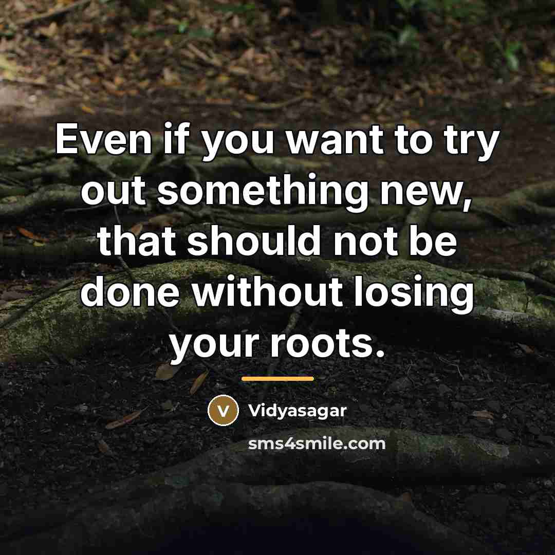 “Even if you want to try out something new, that…” quote by Vidyasagar