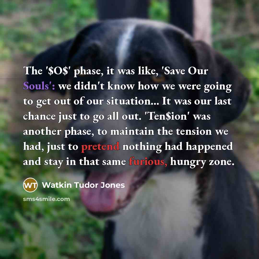 “The '$O$' phase, it was like, 'Save Our Souls': we…” quote by Watkin Tudor Jones