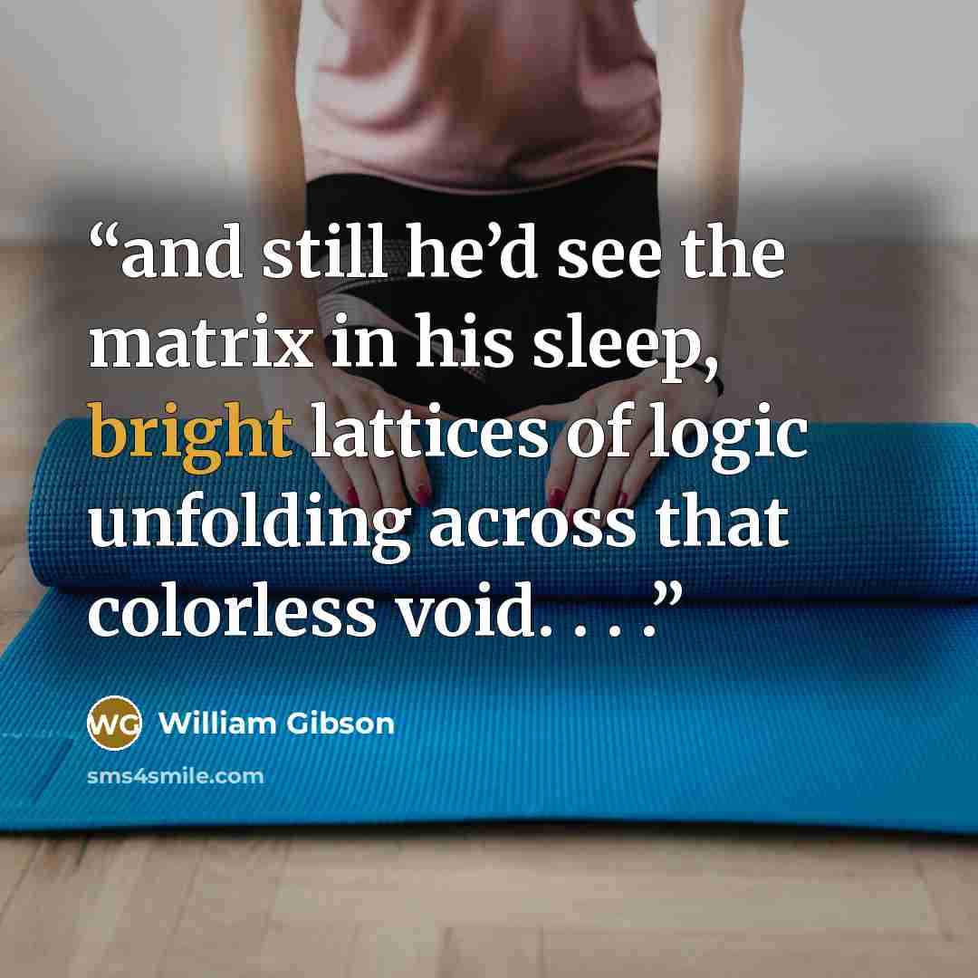 “and still he’d see the matrix in his sleep, bright lattices of logic unfolding across that colorless void. . . .” quote by William Gibson