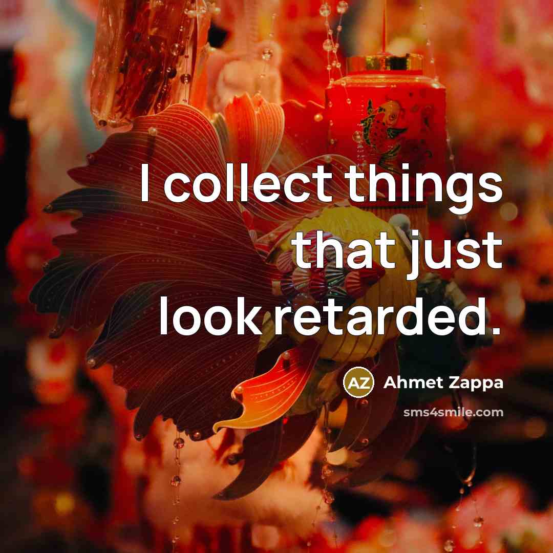 “I collect things that just look retarded.” quote by Ahmet Zappa
