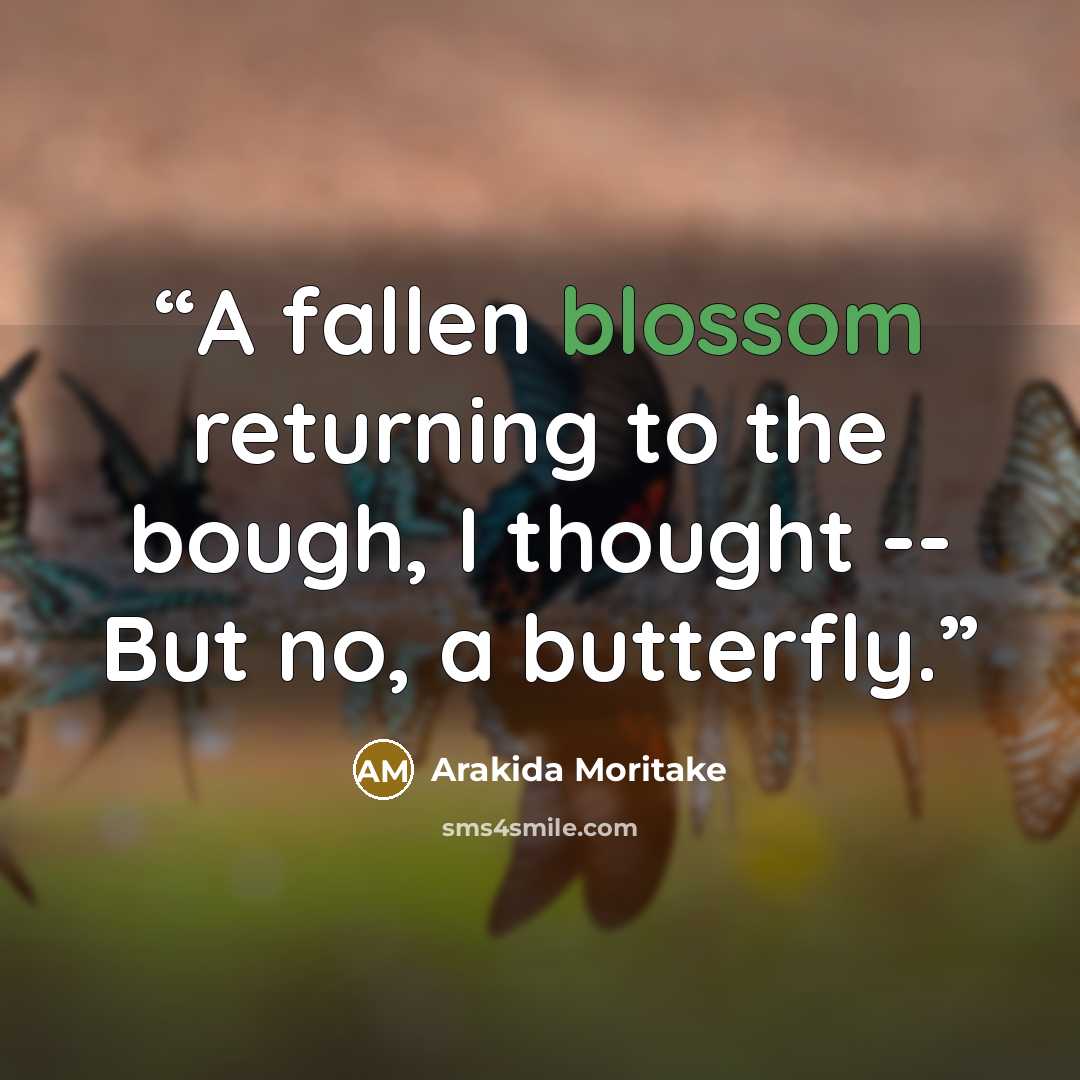 “A fallen blossom returning to the bough, I thought -- But no, a butterfly.” quote by Arakida Moritake