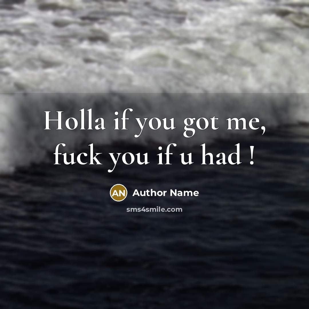 “Holla if you got me, fuck you if u had !” quote by Author Name