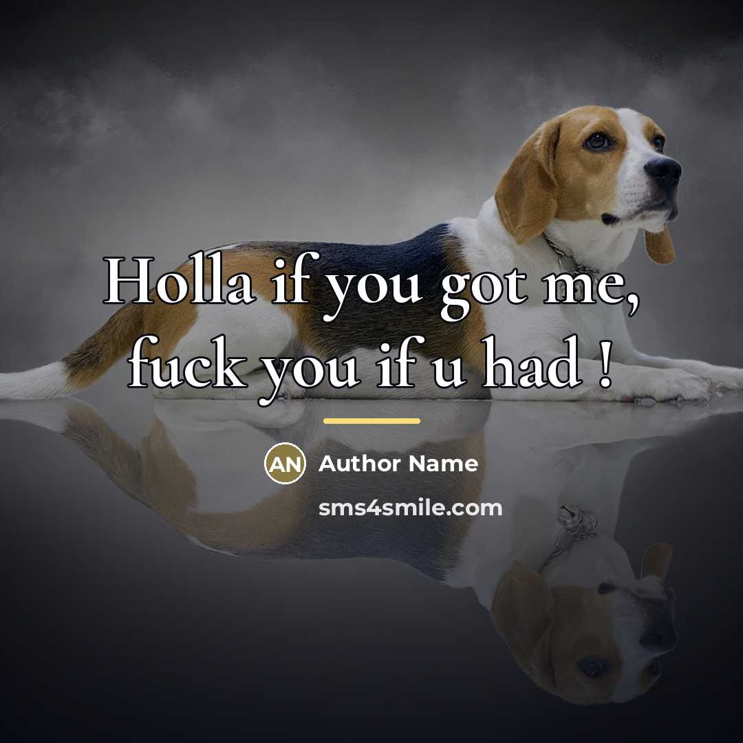 “Holla if you got me, fuck you if u had…” quote by Author Name