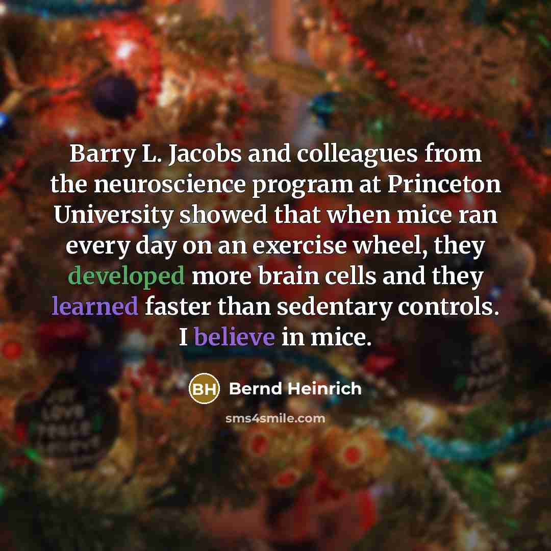 “Barry L. Jacobs and colleagues from the neuroscience program at…” quote by Bernd Heinrich