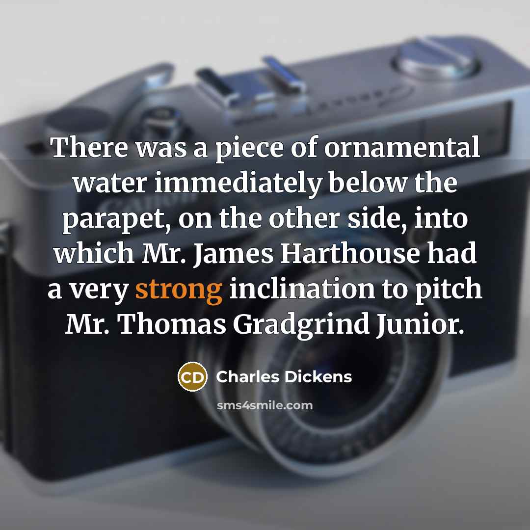 “There was a piece of ornamental water immediately below the…” quote by Charles Dickens