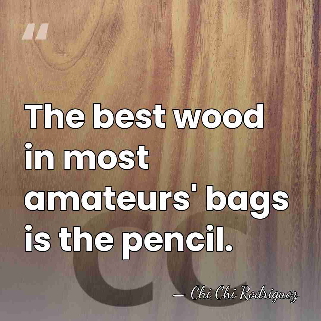 The best wood in most amateurs' bags is the pencil. - Chi Chi Rodriguez