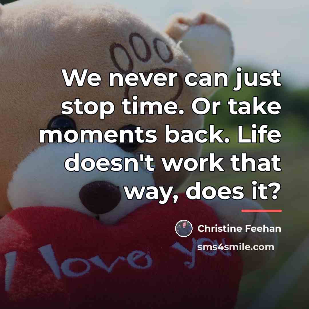 “We never can just stop time. Or take moments back.…” quote by Christine Feehan