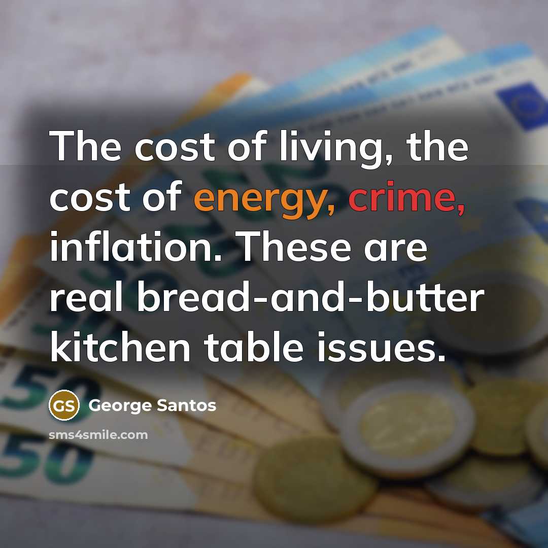 “The cost of living, the cost of energy, crime, inflation.…” quote by George Santos