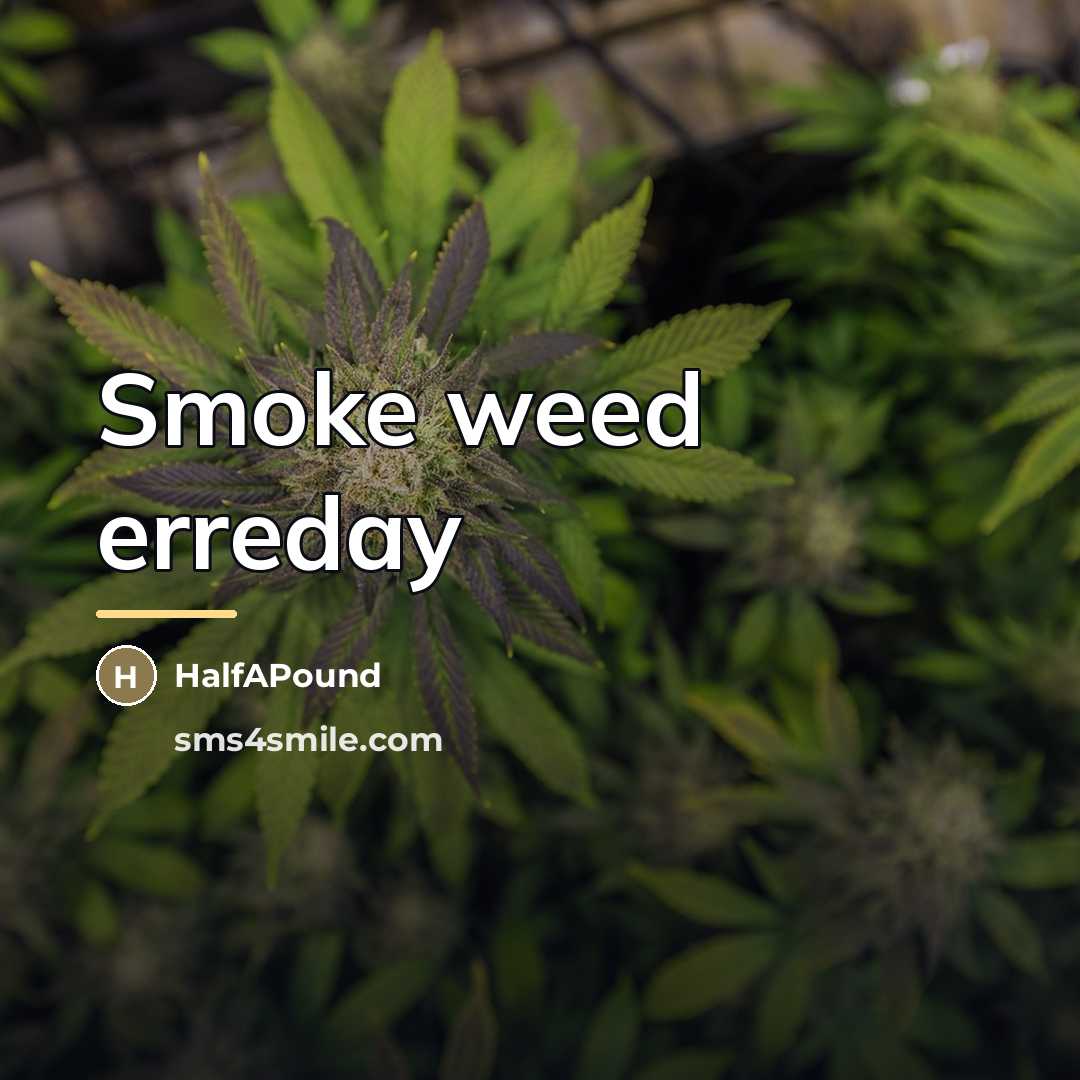 “Smoke weed erreday…” quote by HalfAPound