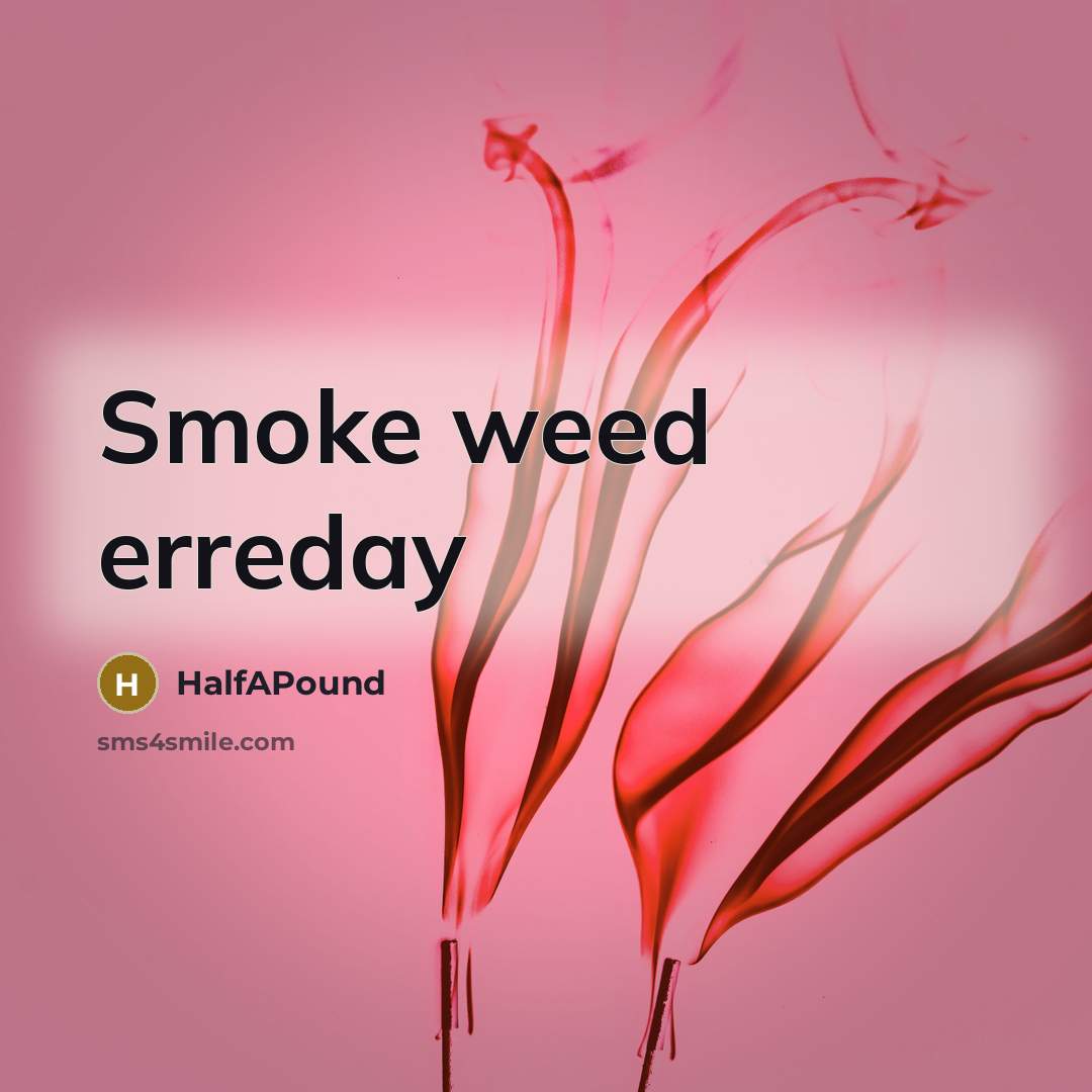 “Smoke weed erreday” quote by HalfAPound
