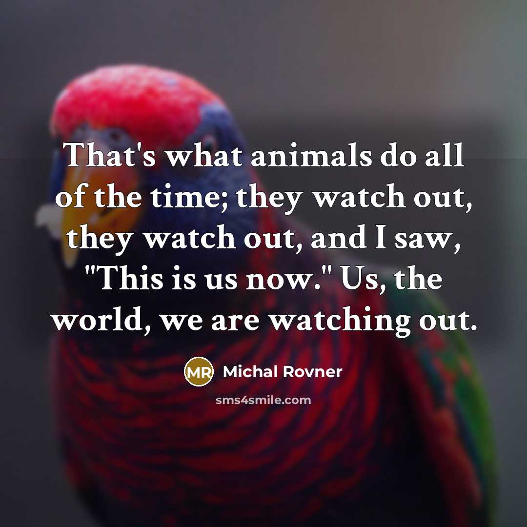 “That's what animals do all of the time; they watch…” quote by Michal Rovner